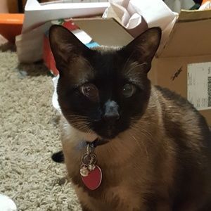 Meet your Posher, Tammy